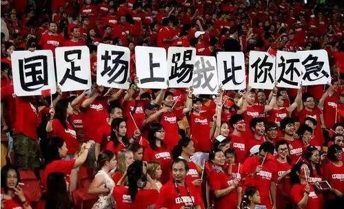 明天国足比赛爆料视频,独家爆料视频揭示关键战术与阵容调整 第3张 明天国足比赛爆料视频,独家爆料视频揭示关键战术与阵容调整 第3张