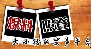 江门新闻爆料平台 第1张 江门新闻爆料平台 第1张